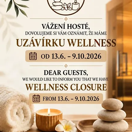 Wellness Hotel Gondola 4*