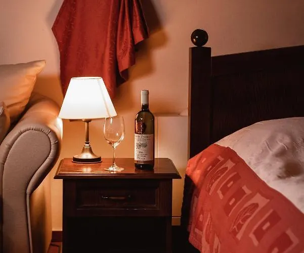 Отель Wellness Hotel Gondola