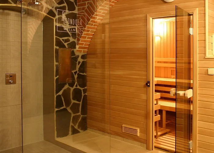 Отель Wellness Hotel Gondola