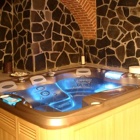 Отель Wellness Hotel Gondola Пльзень