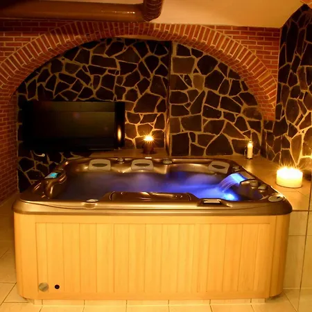 Отель Wellness Hotel Gondola Пльзень