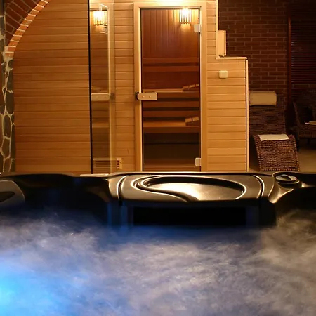 Отель Wellness Hotel Gondola 4*