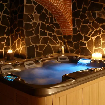 Отель Wellness Hotel Gondola 4*