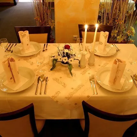 Hotel Green Gondola 4* Plzen